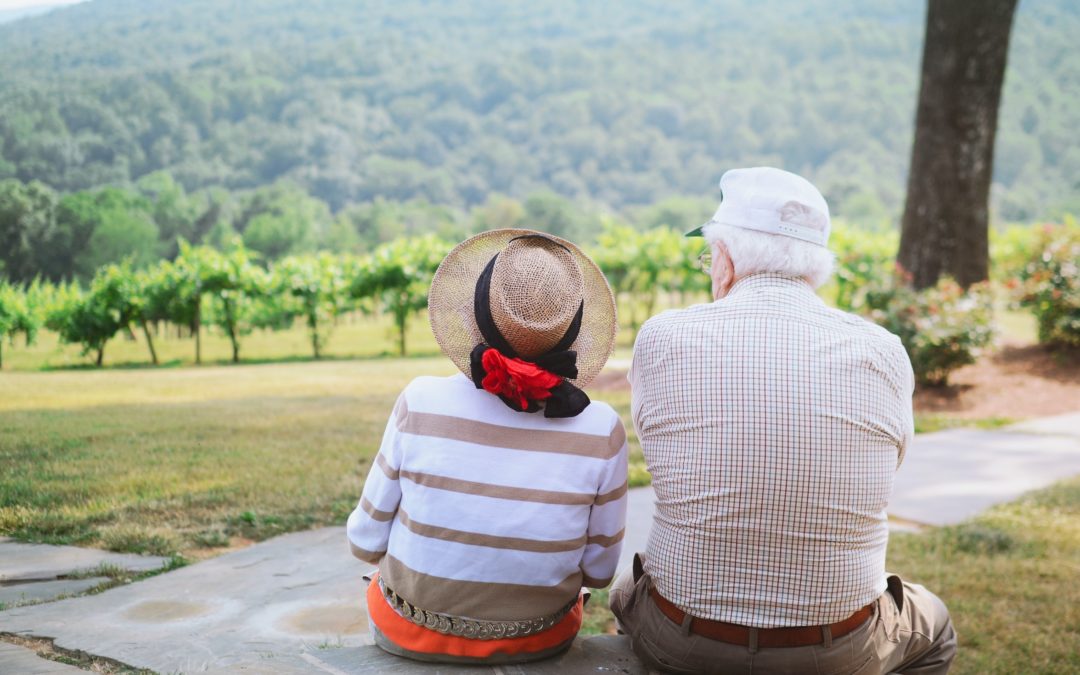 Elderly Couple Enjoying a Scenic View