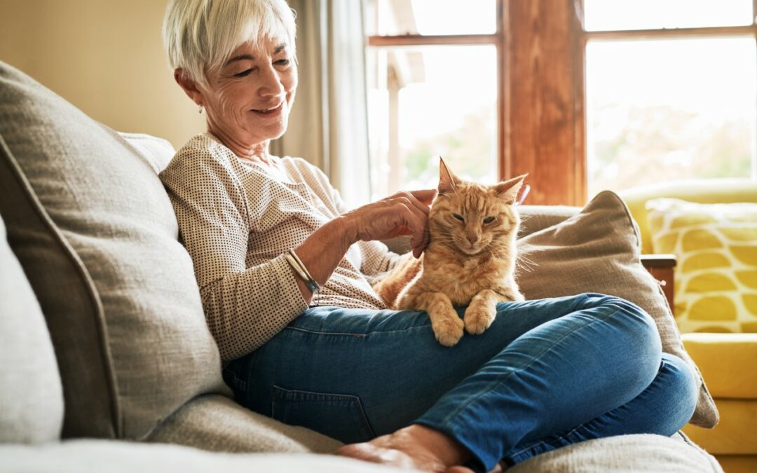 senior woman playing with an orange cat on her lap